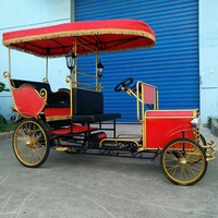 Rickshaw électrique 800/1000W Tricycle électrique de haute qualité Certification CE EPA Rickshaw