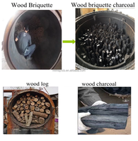 Petite machine de fabrication de charbon de bois pour démarrage d'entreprise four de carbonisation de charbon de bois de noix de coco en continu industriel