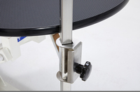 Table de toilettage électrique relevable en acier inoxydable avec plateau antidérapant, sûre, silencieuse, pratique, multifonctionnelle et rotative d'un seul côté