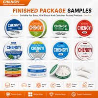 Machine d'emballage automatique complète CE pour sachets de nicotine et poudre de snus, ligne de production A-Z, remplissage, scellage, cartonnage, sachet non tissé