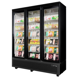 Vitrine réfrigérée commerciale à 3 portes en verre, à économie d'énergie, pour produits surgelés - Product Image 2