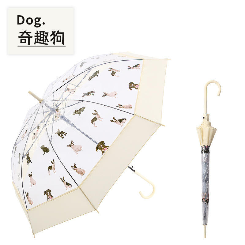 Parapluie os droit transparent pour chien mignon