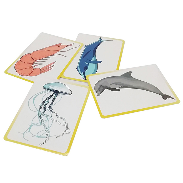 Custom Printed Eco-Friendly Family Kids Dry Erasable Educational Flash Cards for Children Abc Alphabet Learning
