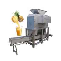 Fabrieksprijs Ananassap Afzuigmachine Apple Juicer Maken Machine Sapcentrifuge Machine