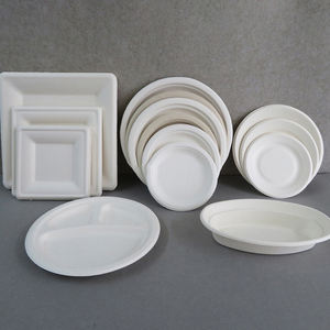 Juego desechable biodegradable, embalaje de vajilla ecológico de China - Product Image 5