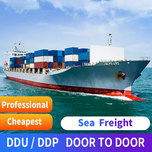 Services de logistique de transport maritime en conteneurs, agent d'expédition DDP de Chine Shenzhen vers la Roumanie - Product Image 3