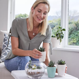 Kit per la coltivazione di piante da interno in miniatura per regali donna <span class=keywords><strong>Cactus</strong></span> da giardino e succulento - Product Image 5