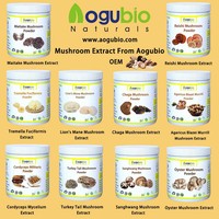 Poudre d'extrait de viande d'huître d'aliments sains naturels Extrait d'huître Extrait de champignon d'huître