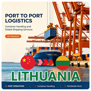 Servicio Profesional de Transporte Multimodal, Envío Marítimo y Aéreo LCL DDP de China a Lituania - Product Image 1