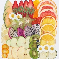 Echt Fruit Groente Plakjes Diy Kits Flatback Geperste Bloemen Fruit Specimen Epoxy Valentin 'S Day Kerst Easter Nieuwjaar