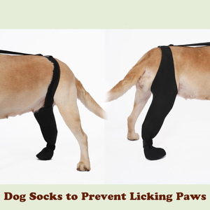 Nouveaux étuis de <span class=keywords><strong>protection</strong></span> pour animaux de compagnie, protège-jambes pour chien anti-léchage et mordant, équipement de <span class=keywords><strong>protection</strong></span> pour chien à souche ligamentaire articulaire du genou - Product Image 5
