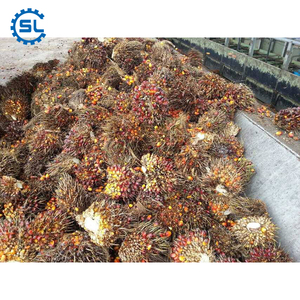 Chìa Khóa Trao Tay Hạt Cọ Thô/Dây Chuyền Sản Xuất Ép Dầu Ô Liu - Product Image 3