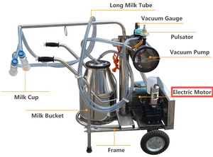 Pièces de rechange professionnelles pour pompe à vide agricole monophasée 110/220V 0,55 kW - Product Image 4
