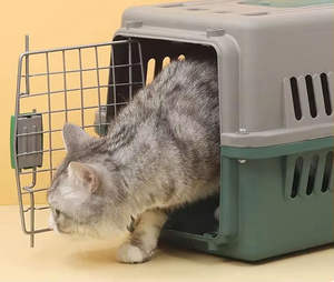 Cage de transport rigide en plastique pour animaux de compagnie, approuvée par les compagnies aériennes, boîte de voyage portable pour chat, chien, petit animal, chiot, chaton, extérieur - Product Image 6