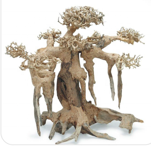 Grand Aquarium Bonsaï Bois Flotté - Product Image 3