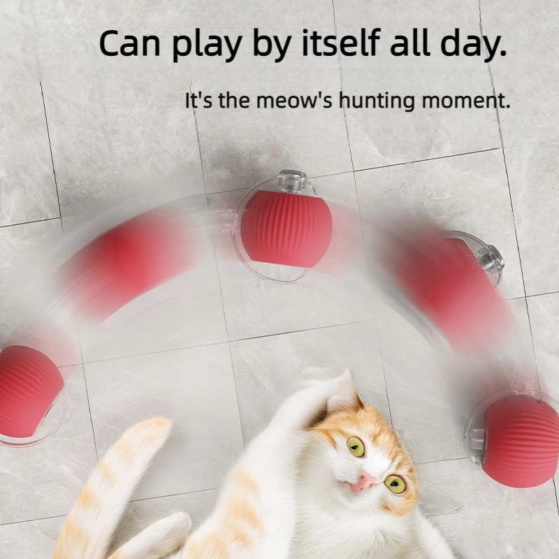 remote control cat toys