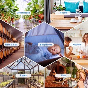 INKBIRD IBS-TH2 Plus Sensor Data Logger Wireless Thermometer And Hygrometer For Indoor