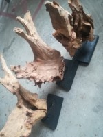 Statue d'arbre abstrait en racine naturelle, sculpture unique sur socle en bois pour la décoration de table d'hôtel et de villa