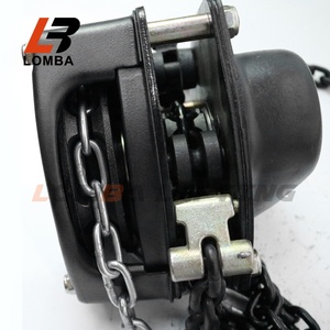 Hot bán 3 tấn của nhãn hiệu Palăng xích cho ngành công nghiệp xây dựng xây dựng tay hoạt động nâng công cụ - Product Image 4