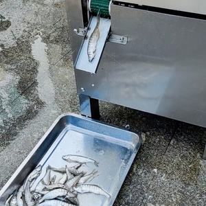 Haute efficacité 150g petit poisson <span class=keywords><strong>sardine</strong></span> viscères éviscérateur éviscération enlever la machine de nettoyage - Product Image 4