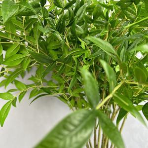 Planta Artificial Verde, Hojas de <span class=keywords><strong>Nandina</strong></span> para Arreglos Florales de Boda, Decoración del Hogar, Vegetación Artificial, <span class=keywords><strong>Flor</strong></span> Artificial al por Mayor - Product Image 5