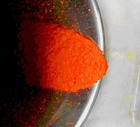 Mélangeur de jus de fruits et légumes, FC-310