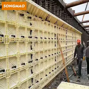 SONGMAO-Sistema de hormigón de plástico reutilizable, Panel de placa de pared para construcción, 100s