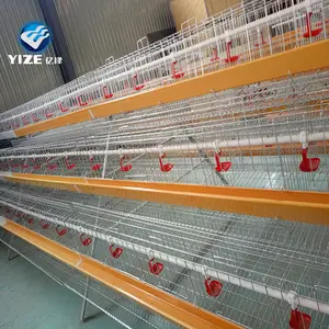 automatic equipment poultry algeria chick animal farm poultry equipment fully auto layer chicken cage system