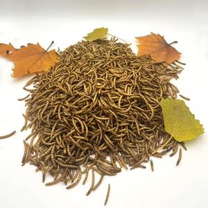 Vermi della farina essiccati a microonde per uccelli pesci lucertole ragni gechi ricci camaleonti criceti ecc. Dolcetti - Product Image 4