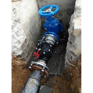 Vanne solénoïde à impulsion CC Zanchen pour irrigation intelligente, avec revêtement en caoutchouc, contrôle unidirectionnel du débit d'eau, 300 PH, résistante aux contraintes - Product Image 3