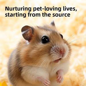 Snacks para Hámsteres Exóticos Netweibao <span class=keywords><strong>OEM</strong></span>, Suministros para Mascotas Exóticas, Suplementos Nutricionales, Alimentos, Snacks, Procesamiento Personalizado Netweibao - Product Image 5