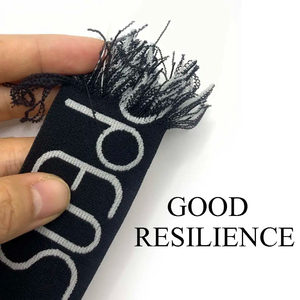 Logo Ban Nhạc Đàn Hồi Spandex Polyester Vải Dây Đeo Chữ Jacquard Ban Nhạc Đàn Hồi Tùy Chỉnh Thương Hiệu Thời Trang Nylon Ribbon Nylon Chủ Đề - Product Image 2