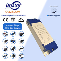 Module de pilote LED à tension constante 2026 BST OEM 5 en 1, dimmable Triac, boîtier plastique intérieur, 100W 12V 24V