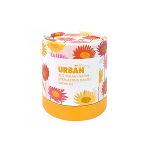 Kit da Giardino per Margherite Eterne, Kit di Coltivazione di Fiori a Lunga Durata, Regalo per Amanti del Giardinaggio, Adatto ai Principianti - Product Image 3