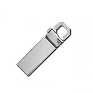 GJUS14 <span class=keywords><strong>Key</strong></span> Ring U Đĩa 4Gb 8Gb 16Gb Kim Loại Bộ Nhớ Stick 16Gb 32Gb 64Gb 128Gb 256Gb Pendrive Usb 2.0 Pen Drive Usb - Product Image 1