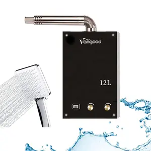 Indoor Shower Whole House Ballanced Gas Geyser Water Heater