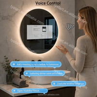 Vente en gros maison personnalisée salle de bain miroir à écran tactile intelligent avec tv haut-parleur WIFI android salle de bain de salon miroir intelligent miroir tv