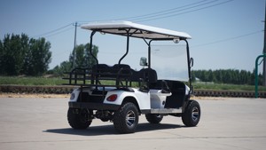 Productos Más Vendidos, Carritos de Golf Eléctricos Ajustables de Alta Velocidad con Batería de Litio de 48/60/72v, Mini Buggies de 2/4/6 Plazas, Precio - Product Image 6