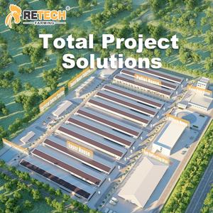 H kandang ayam Broiler 4 tingkat Tipe 4, dengan sabuk penghilang pupuk kandang untuk Broiler 40000 - Product Image 5