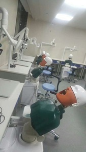 Top Quality Medical Science <strong>Dental</strong> School Training <strong>Dental</strong> Manikins Phantom Head <strong>Simulation</strong> Simple Head <strong>Unit</strong> <strong>Dental</strong> Simulator - Product Image 6
