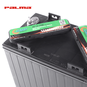 Batería VRLA Sellada de Alto Rendimiento para Carrito de Golf, <span class=keywords><strong>Palma</strong></span> GC12-120S, Certificación CE, Tecnología Coreana, Libre de Mantenimiento, Disponible al por Mayor - Product Image 1