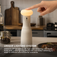 Moulin à sel et à poivre manuel réglable en gros, rechargeable Type-C, avec LED lumineuse et mouvement silencieux, à mouvement céramique, pour épices et poivre