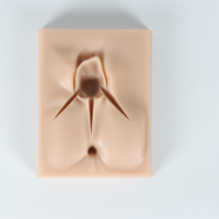 Almohadilla de Silicona para Sutura de Episiotomía, Modelo de Práctica de Sutura de Incisión Perineal, Simulador de Entrenamiento de Sutura Vulvar Duradero
