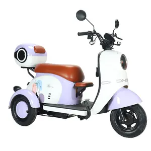 Wholesale Cheap Electric Passenger Tricycles Adult Electric Bicycles And Elderly Mobility Vehicles