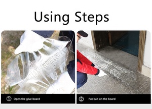 Tablero adhesivo para ratas, control de roedores, trampa de pegamento para ratones, transparente, desechable, sostenible, repelente de roedores, trampas para ratones Cole - Product Image 5