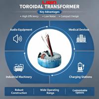 Transformador Toroidal Solar de Nueva Energía LIQIN LQ-729 Monofásico 50W-5000W Entrada 110V 120V Impermeable OEM Personalizado CE RoHS Bajo MOQ