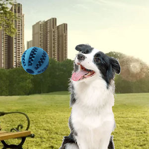 Bebedero Portátil Plegable Ecológico, Resistente al Agua, de Silicona, Doble, para Mascotas, para Viajes, para Perros y Gatos - Product Image 6