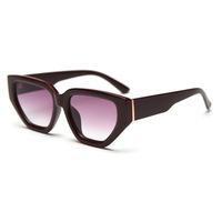 Lunettes de soleil polarisées œil-de-chat TR90 pour femmes et hommes, style rétro, collection 2026, vente en gros, Chine