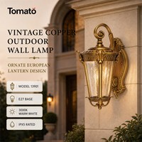 Applique murale extérieure vintage en cuivre, étanche IPX5, blanc chaud dimmable, E27, lumière de jardin rétro pour villa, porche, garage, patio