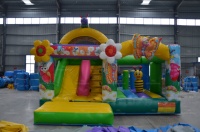 Château gonflable commercial CE avec toboggan, thème insectes, pour la location en jardin et parc d'attractions